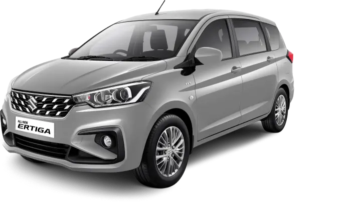 Silky Silver (GA,GL)